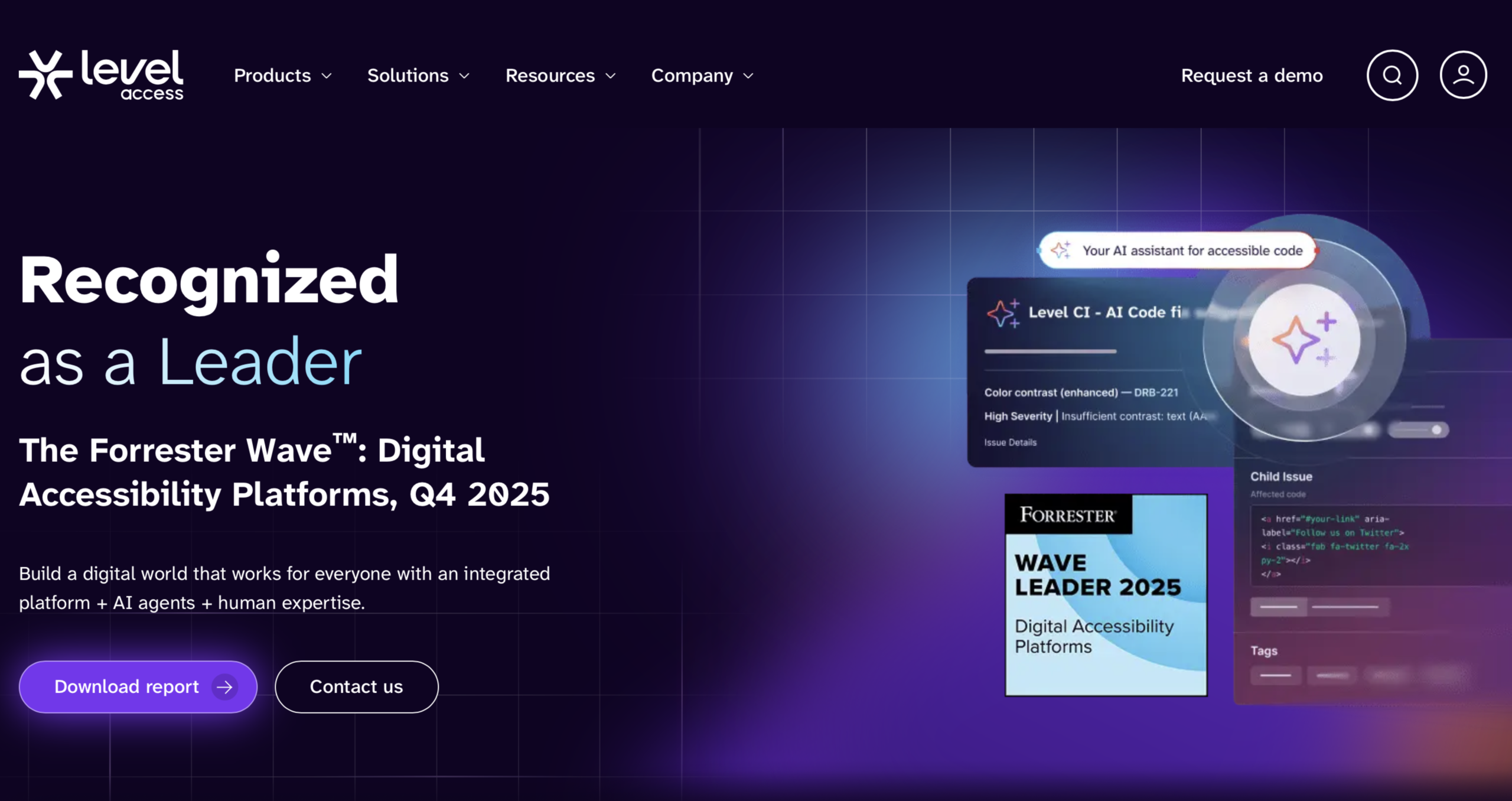 Level Access Website